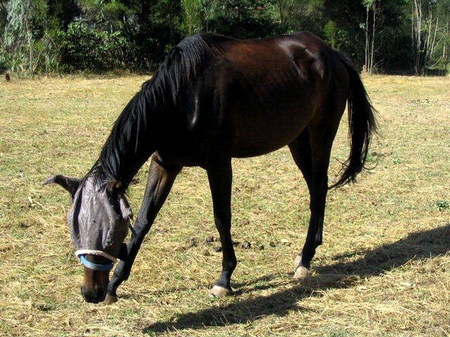 2011022620.jpg