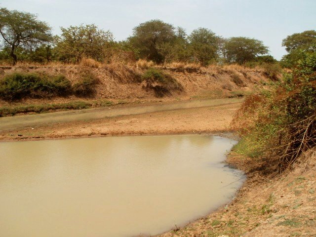 Veľkonočný piknik v buši, 25. 4. 2011