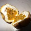 20140822_29 - Passion fruit...